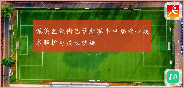 佩德里领衔巴萨新赛季中场核心战术解析与成长轨迹