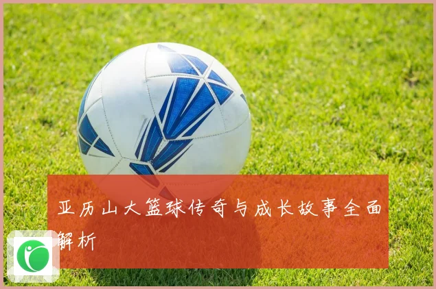 亚历山大篮球传奇与成长故事全面解析